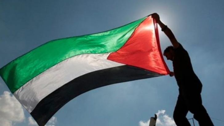 Steag Palestina - imagine de arhivă