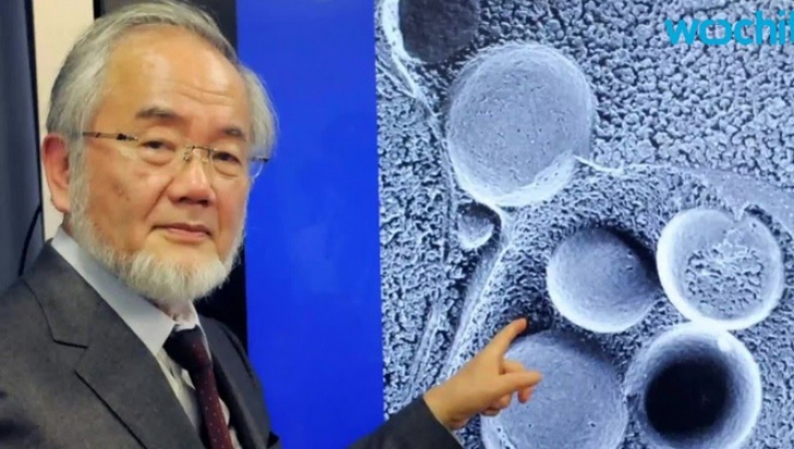 Dieta japonezului laureat cu premiul Nobel: ajută la scăderea în greutate şi la regenerarea celulară