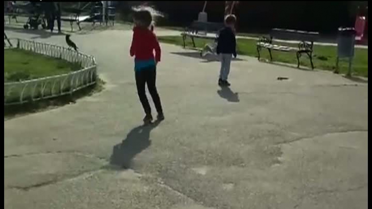 Panică într-un parc din Constanța. Copii au început să ţipe când au văzut ce era pe o alee