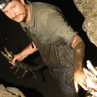 Descoperire fabuloasă: specie de crocodili unici &icirc;n lume, cu o culoare ciudată