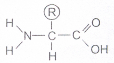 Subiecte Chimie organica BAC 2018