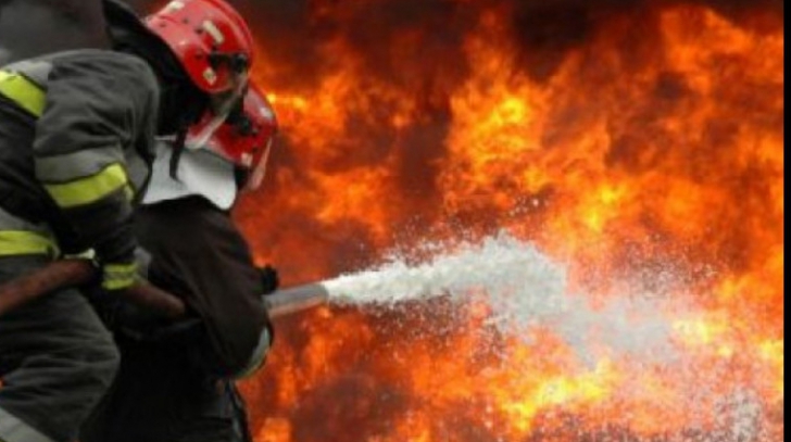 Incendiu de proporţii în Prahova. O fermă cu peste 1000 de purceluşi s-a făcut scrum 