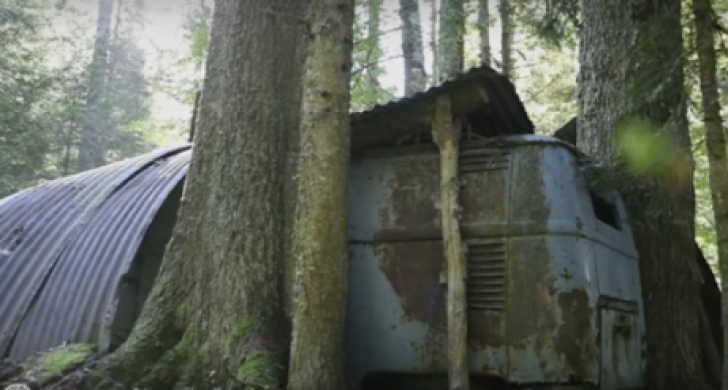 Au descoperit în pădure un VW Bus din 1955, părăsit de 20 de ani. S-au speriat ce au aflat