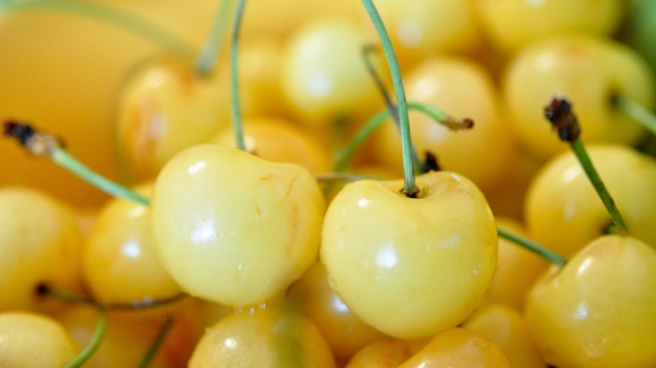 Ce sunt, de fapt, cireşele galbene care se găsesc în pieţe. Mai cumperi?