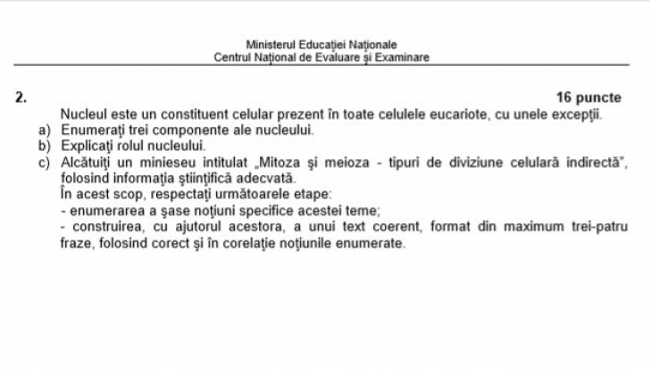 BAREM BAC 2018 - Geografie, Biologie, Anatomie, Chimie, Fizică, Informatică, Logică, Filosofie 