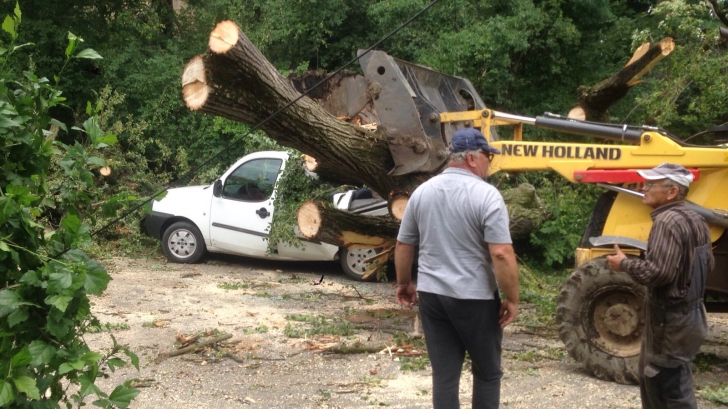 Copac căzut peste o mașină în Brașov