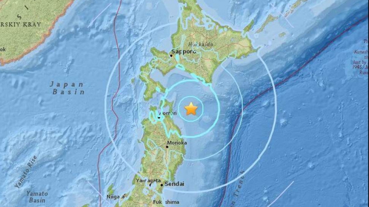cutremur japonia