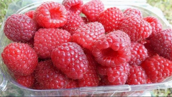 Fructe roșii
