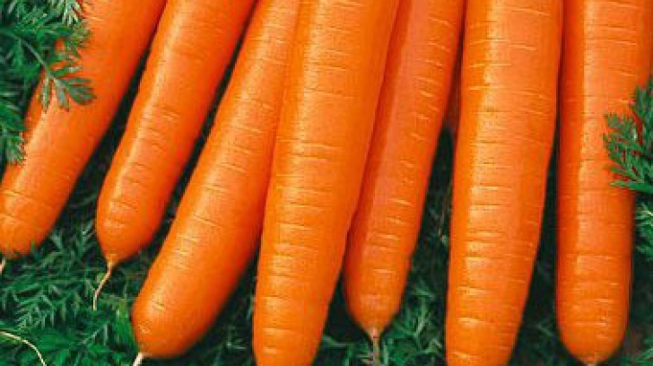 De ce să mănânci morcovi în fiecare zi. Nu îţi va veni să crezi ce se poate întâmpla