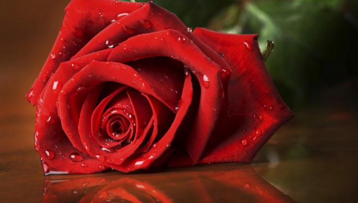 Ce înseamnă când primeşti un trandafir roşu? Dar când primeşti zece? Semnificaţia fiecărui gest