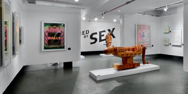 Muzeul sexului din New York