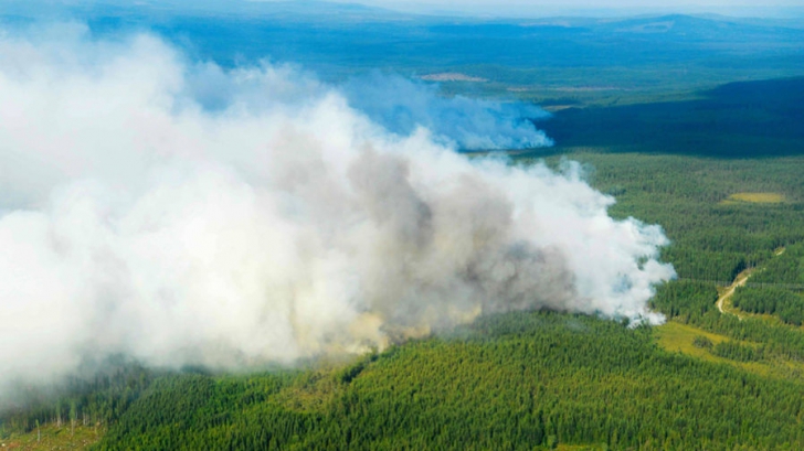 Incendii de pădure în Suedia. Avertismentul MAE pentru rezidenţii şi turiştii români