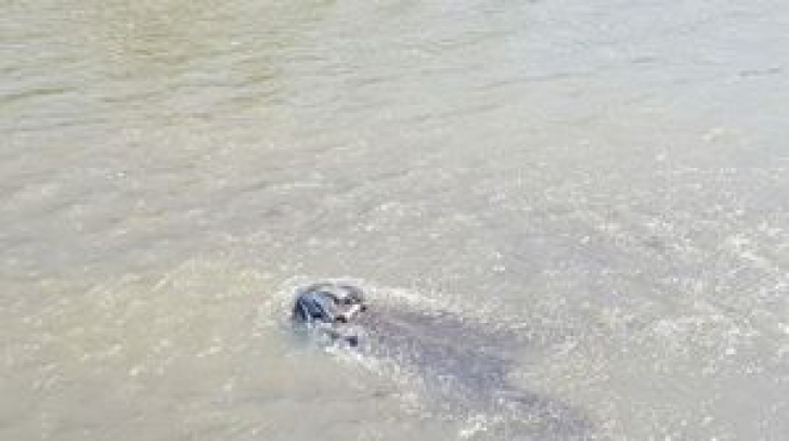 Tragedie în Suceava. Un bărbat a fost găsit fără suflare în albia unui râu