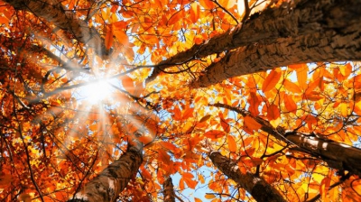 HOROSCOP SEPTEMBRIE 2018: Schimbări mari pentru toate zodiile