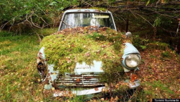 Se plimba trist, când a văzut un Ford vechi sub frunze. Ce era înăuntru i-a schimbat viaţa