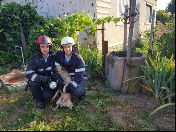Intervenție specială a pompierilor pentru salvarea unui câine