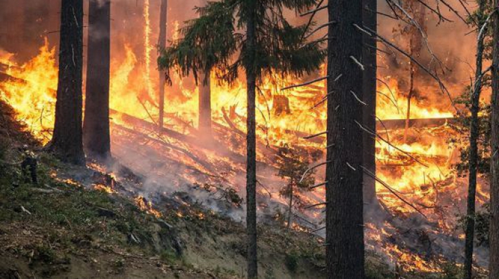 INCENDIU de vegetaţie şi în România. Pompierii intervin în forţă 
