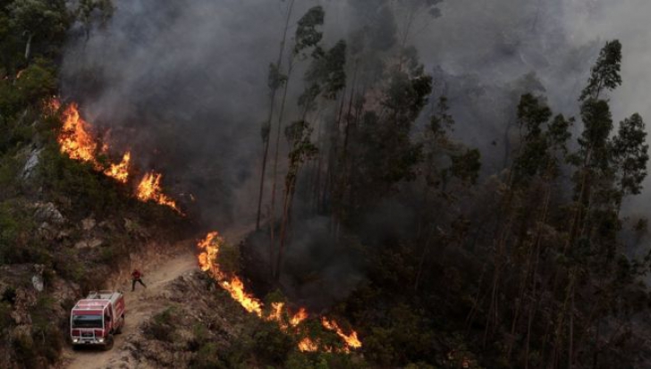   Start of APOCALIPSEI ?! After Greece, a large vegetation broke out in Portugal. 