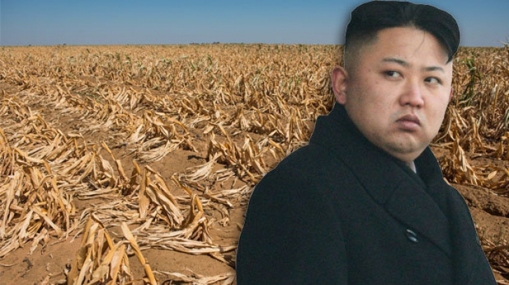 Coreea de Nord, în pragul unui val de foamete cu ”efecte potenţial catastrofale”