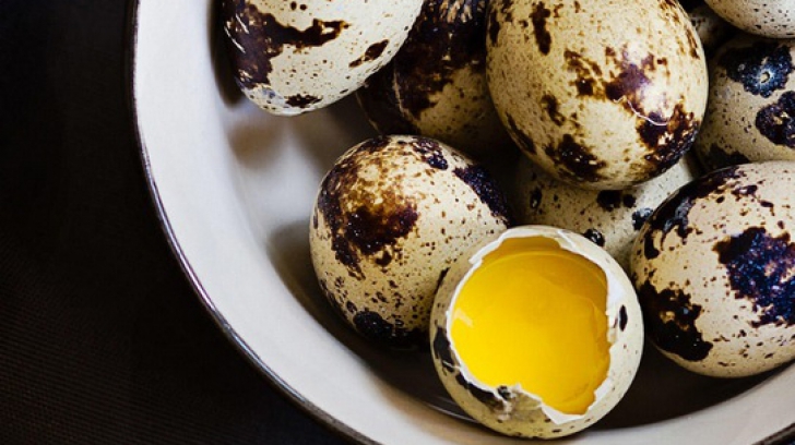 Cura cu ouă de prepeliţă reglează imunitatea şi restartează organismul
