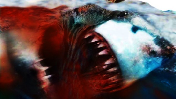 Descoperire şocantă făcută de oamenii de ştiinţă: mega-rechinul