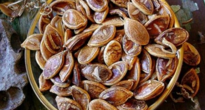 Au dezgropat o oală veche de 800 de ani, plină cu seminţe. Când au văzut ce a răsărit, au îngheţat!