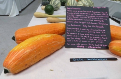 Au dezgropat o oală veche de 800 de ani, plină cu seminţe. Când au văzut ce a răsărit, au îngheţat!