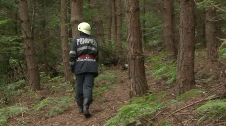 Trei copii, care au plecat cu bicicleta prin pădure, sunt căutaţi activ de pompieri