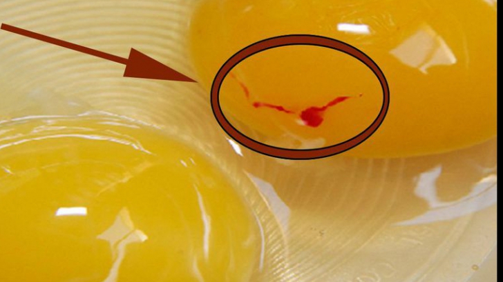Ce reprezintă, de fapt, petele roşii din gălbenuşul de ou