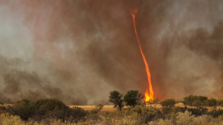 Imagini incredibile! O tornadă de foc, filmată în timp ce face ravagii 