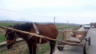 Pofta, bat-o vina! A furat un cal cu căruţă cu tot ca să meargă să mănânce mici la un târg