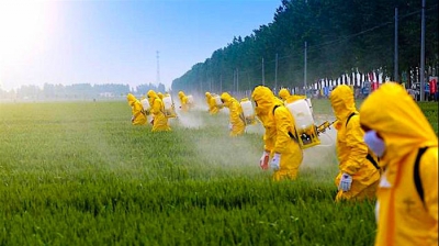 România, în topul statelor UE cu cele mai mari vânzări de pesticide