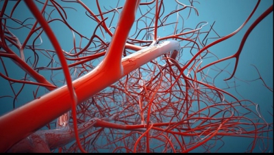 3 alimente care previn formarea cheagurilor de sânge și mențin inima sănătoasă