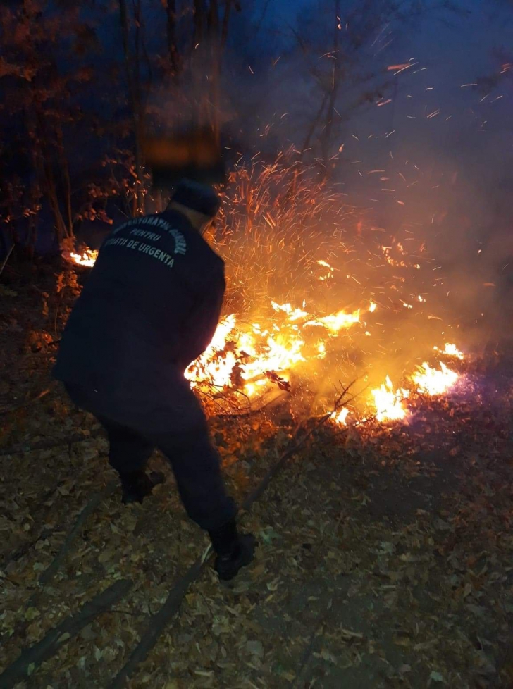 Incendiu de pădure în Argeş