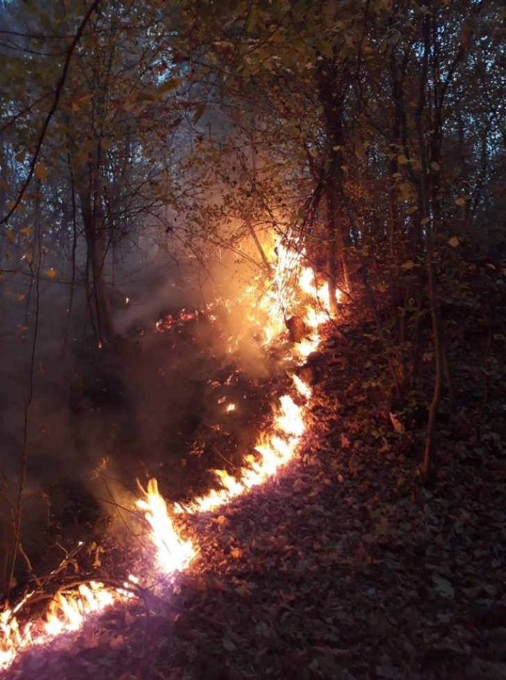 Incendiu de pădure în Argeş