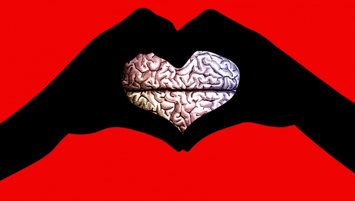 Ce se întâmplă în creierul nostru atunci când ne îndrăgostim. E uimitor 