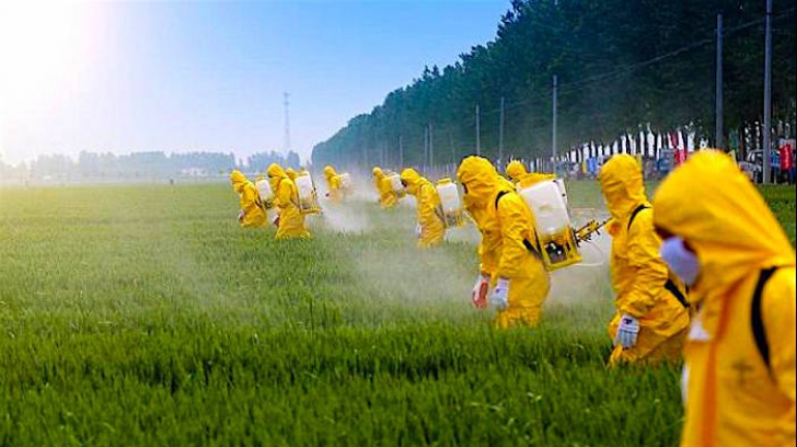 România, în topul statelor UE cu cele mai mari vânzări de pesticide