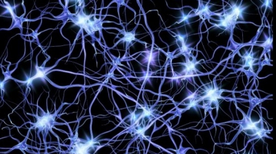 Cum ne putem multiplica numărul de neuroni. Este extrem de simplu