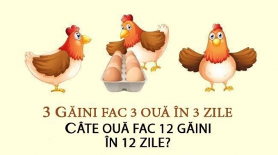 Problema de clasa I-a care dă bătăi de cap. Câte ouă fac 12 găini în 12 zile?