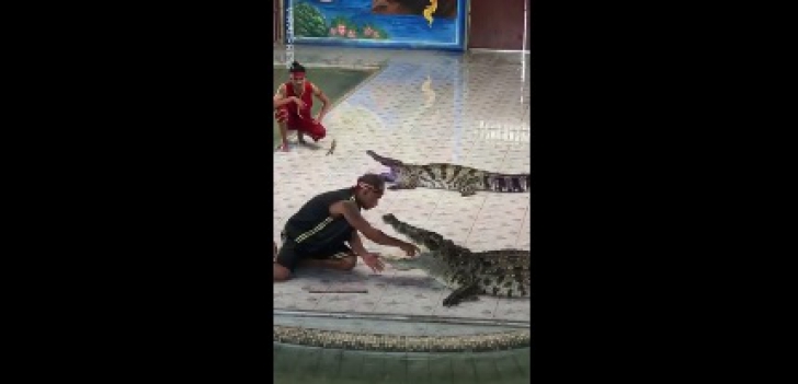 Ce a păţit acest bărbat care a decis să-şi bage mâna în gura crocodulului depăşeşte orice imaginaţie
