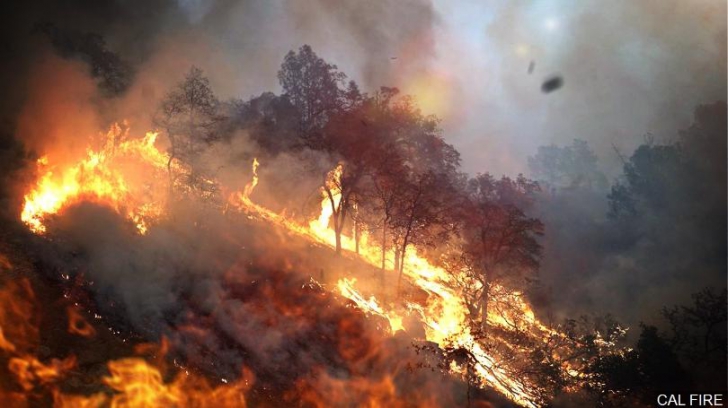 Incendii devastatoare în California. Cel puţin 50 de persoane şi-au pierdut viaţa. Imagini şocante 