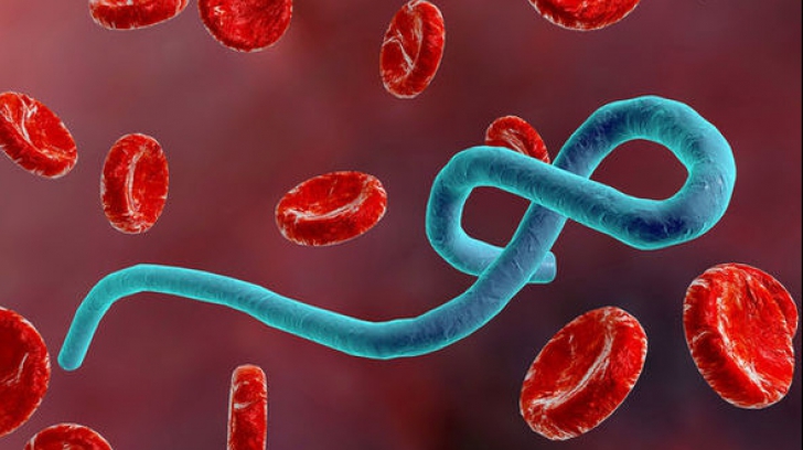Epidemia de Ebola se extinde. Bilantul deceselor este tragic 
