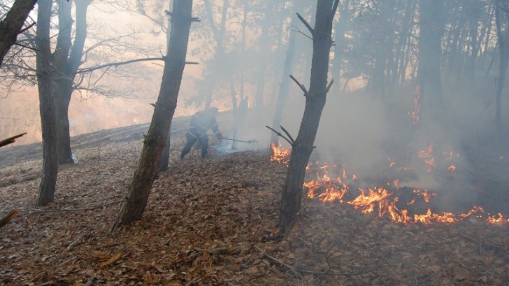 Incendiu în pădurea din apropierea cetății dacice Sarmizegetusa Regia