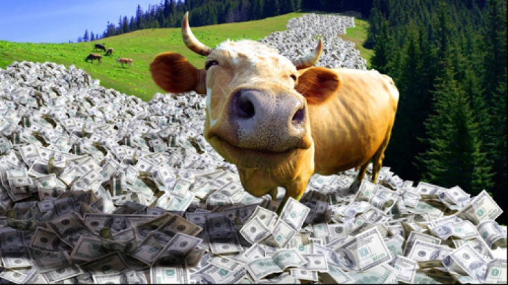 Fondul Suveran de Investiții - o nouă vacă de muls pentru Guvern