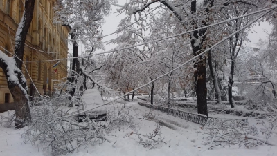 Scolile Din JudeÅ£ul Timis Inchise Luni Si MarÅ£i È™i Alte JudeÈ›e Au Probleme