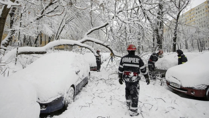 Copaci căzuţi peste maşini și fire de curent în municipiul Satu Mare. Au intervenit pompierii