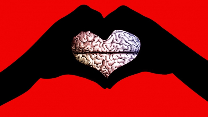 Ce se întâmplă în creierul nostru atunci când ne îndrăgostim. E absolut FABULOS 