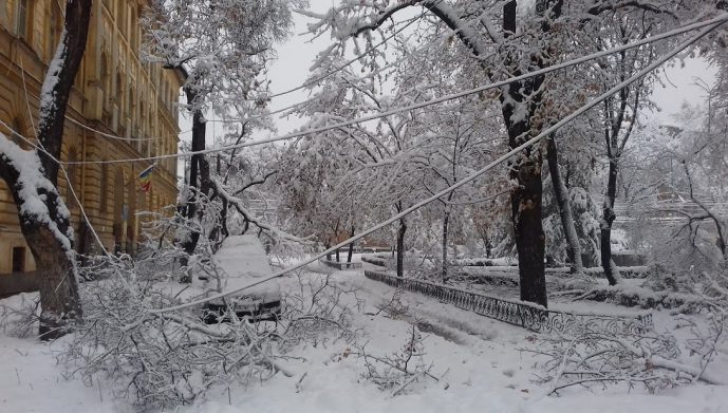 Timișoara, paralizată de ninsorile căzute în ultimele două zile(video)