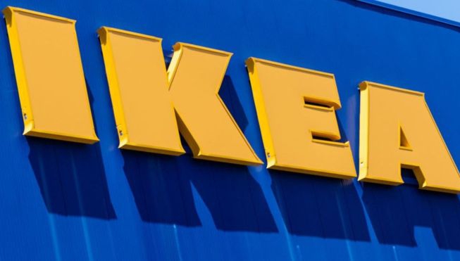 Ploșnițe la IKEA: insectele se ascund în lemn și se înmulțesc rapid. Ce magazin din România a fost INFESTAT: anunțul companiei 