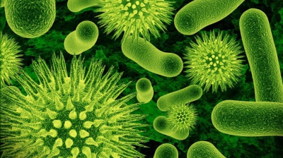 Cele mai periculoase bacterii